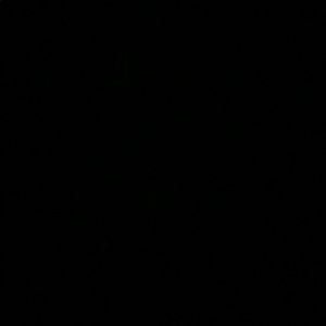 Meet your Posher, Bennett